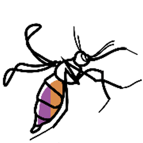 Anopheles mosquito
